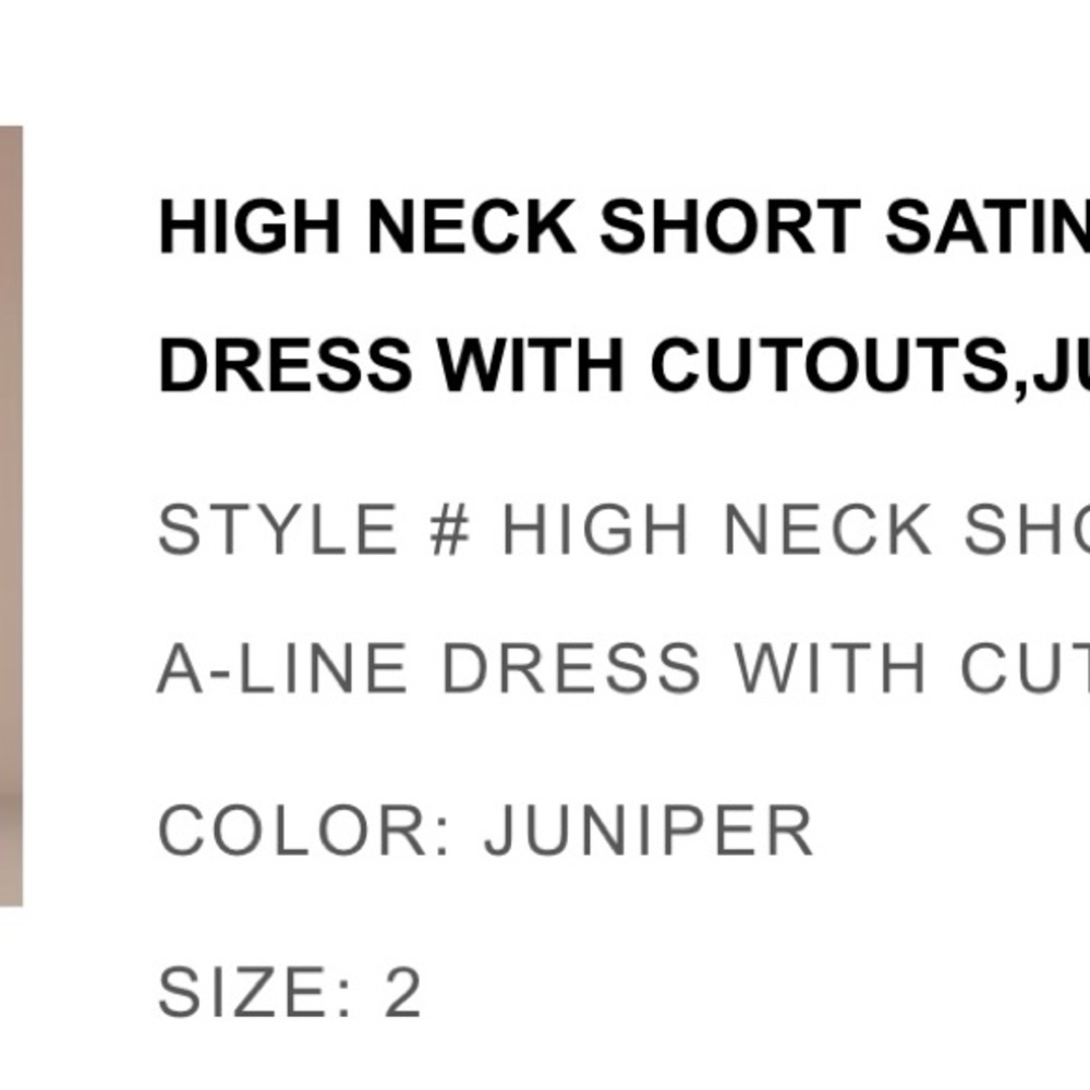 High Neck Short Satin Dress with Cutouts - Juniper